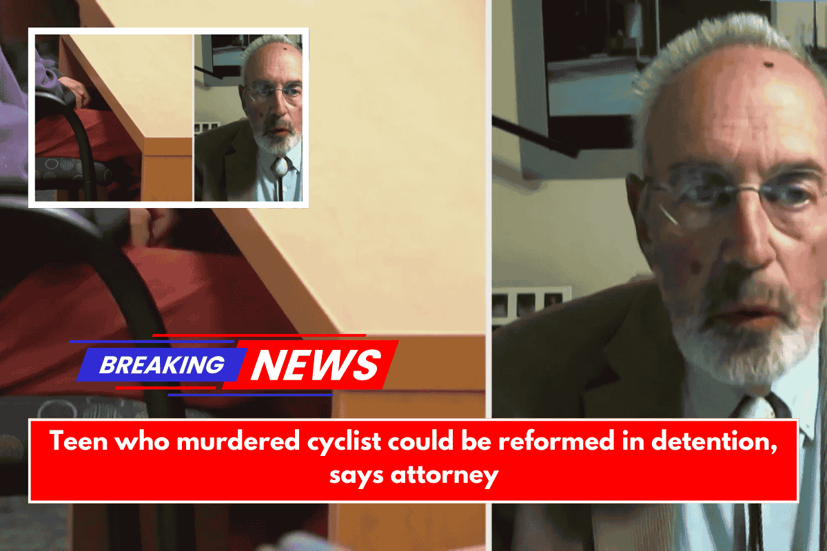 Teen who murdered cyclist could be reformed in detention, says attorney